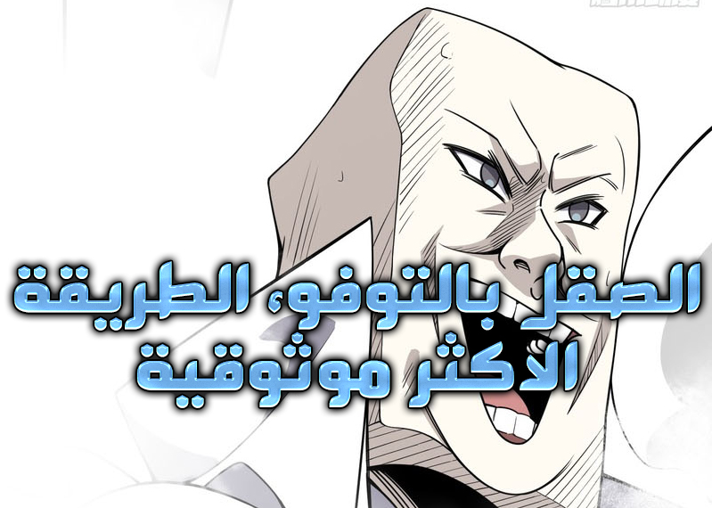 الفصل 11