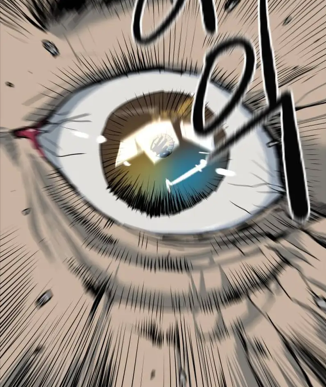 الفصل 15