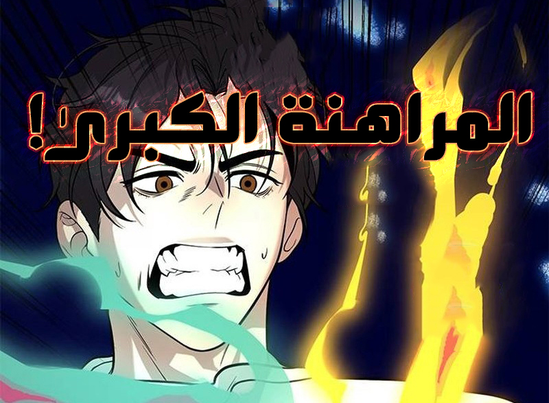 الفصل 19
