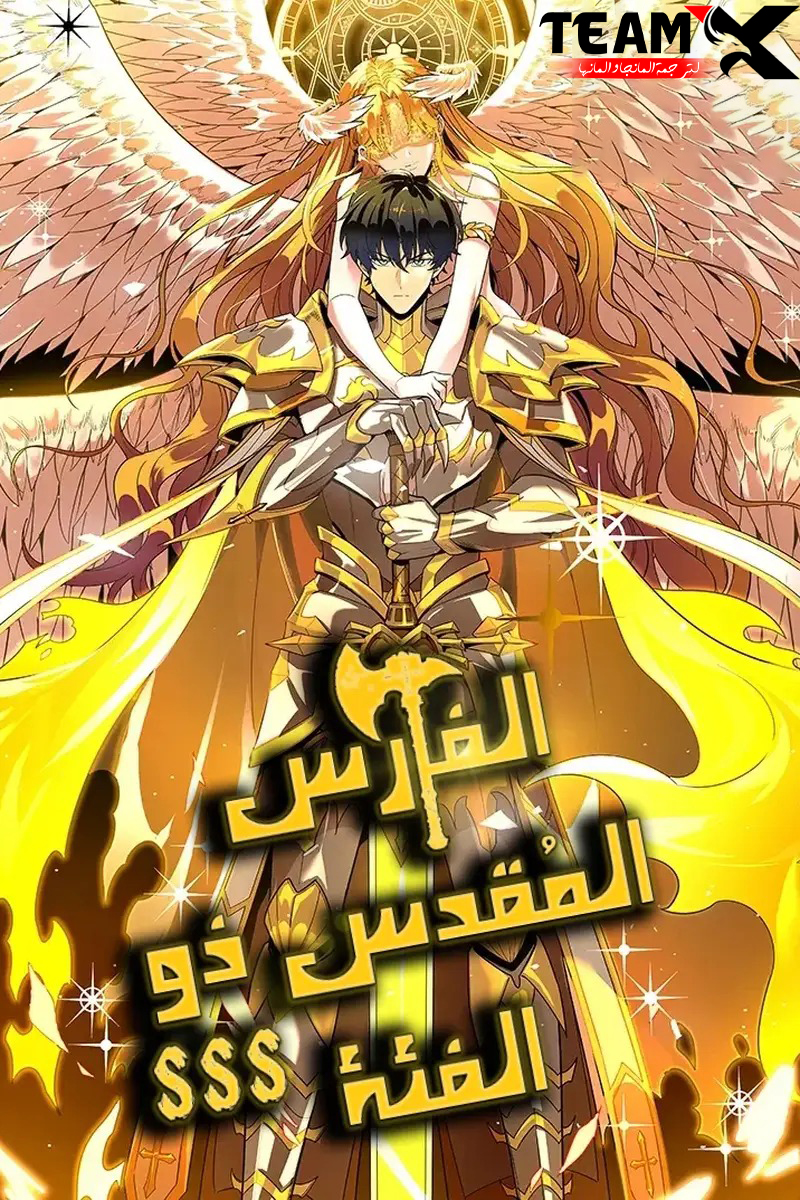 SSS Grade Saint Knight